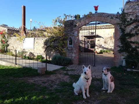 Property building, Facade/entrance, Day, Garden, Animals, Pets, Pets, Pets