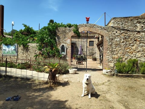 Property building, Summer, Balcony/Terrace, Pets, Breakfast