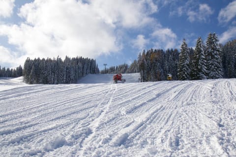 Winter, Skiing