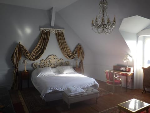 castel de la comtesse Bed and Breakfast in Blois