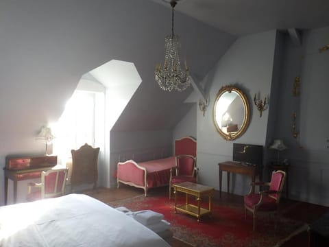 castel de la comtesse Bed and Breakfast in Blois