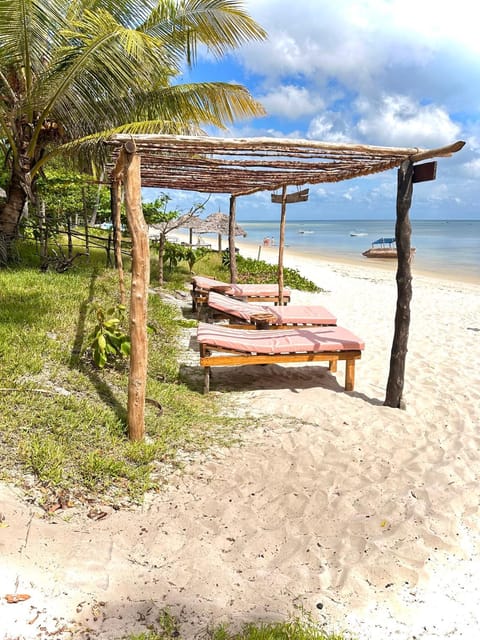 Juani beach bungalows Hôtel in Tanzania