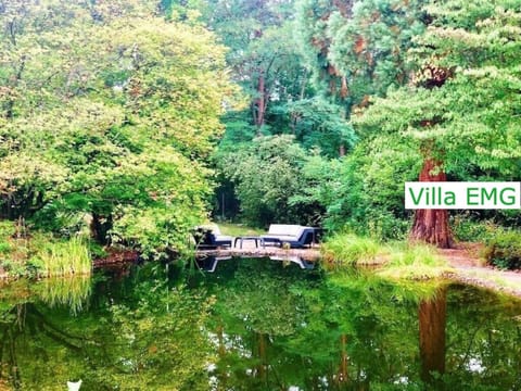 Day, Summer, Garden, Garden view, Lake view