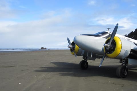 Rocks Cabin Cabin in Copalis Beach