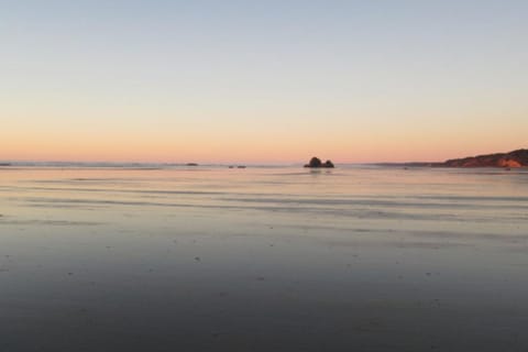 Rocks Cabin Cabin in Copalis Beach