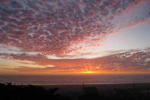 Sea Oats Apartment in Pacific Beach