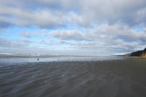 Sea Oats Apartment in Pacific Beach