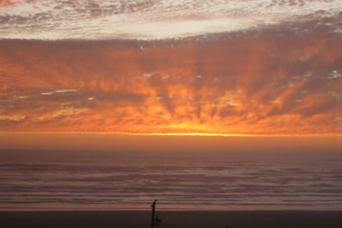 Salty Dog House in Pacific Beach