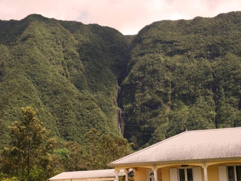 L'Idolivier House in Réunion
