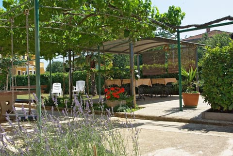 Garden, Balcony/Terrace