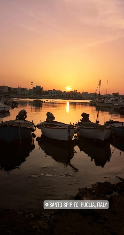 Casa verde Apartment in Bari