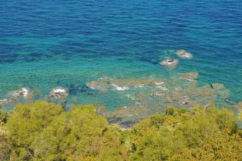 Natural landscape, Beach