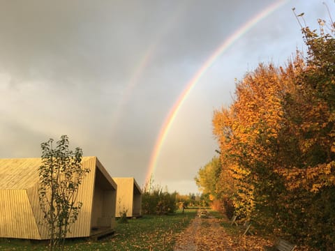 Garden, Autumn