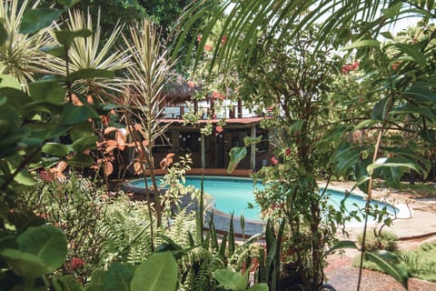 Garden, Garden view, Pool view