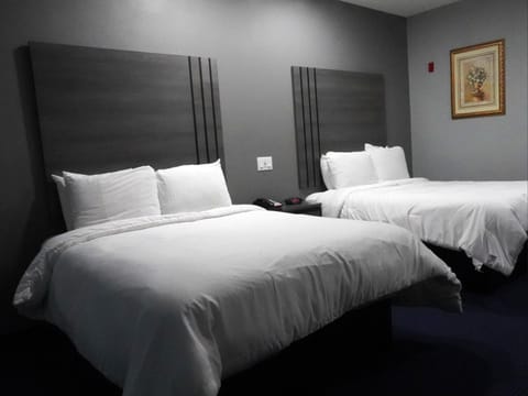Americas Best Value Inn and Suites Bush International Airport Motel in Humble