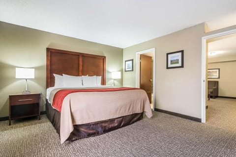 Comfort Inn & Suites Lexington Hotel in Lexington