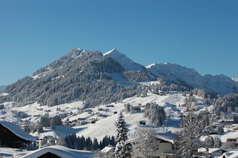 View (from property/room), View (from property/room)