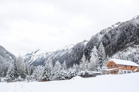 Almchalet Pöllatal Nature lodge in Carinthia, Austria