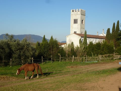 Casa Marcè a "Sonno" Chambre d’hôte in Capannori