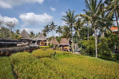 Green Field Resort Ubud Resort in Sukawati