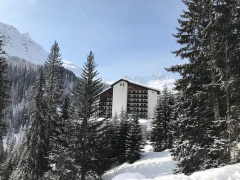 Rothornblick Apartment in Arosa