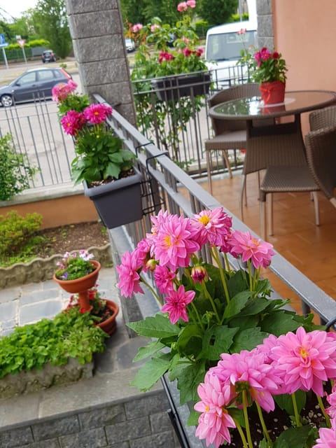 Patio, Day, View (from property/room), Balcony/Terrace, Garden view