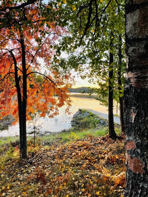 Day, Natural landscape, Autumn, Lake view