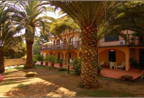 Property building, Day, Garden