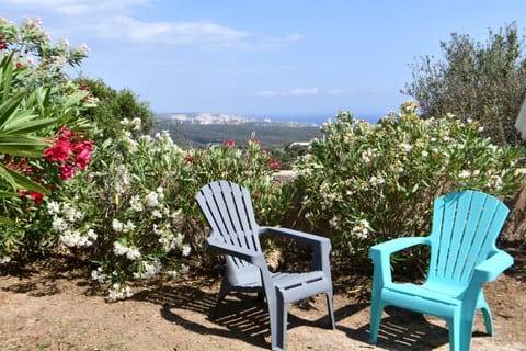 Patio, Spring, Day, Garden, City view, Sea view