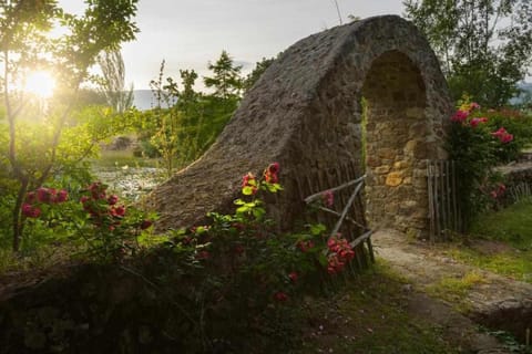 Spring, Day, Natural landscape, Garden, Garden view