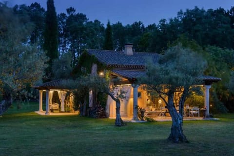 Night, Natural landscape, Garden view