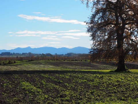 Spring, Natural landscape, Mountain view