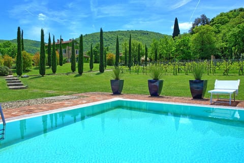 Garden, Garden view, Pool view, Swimming pool, Swimming pool