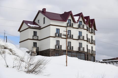 Property building, Winter