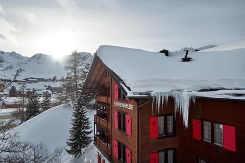 Bird's eye view, Winter, On site