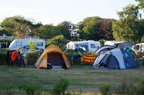 Hasle Camping (Empty Lots) Campground/ 
RV Resort in Bornholm