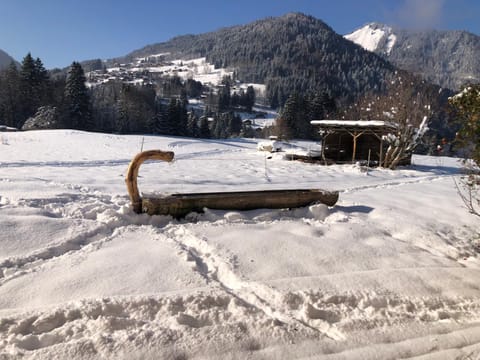 Chalet La Merlerie Apartment in Montriond