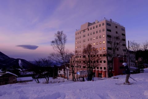 T Hotel Ryuoo Hotel in Shimotakai District