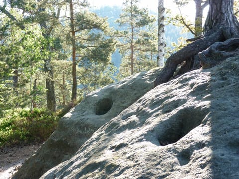 Ein Platz für Ruhe und Naturgenuss Condo in Sächsische Schweiz-Osterzgebirge