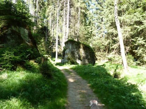 Ein Platz für Ruhe und Naturgenuss Condo in Sächsische Schweiz-Osterzgebirge