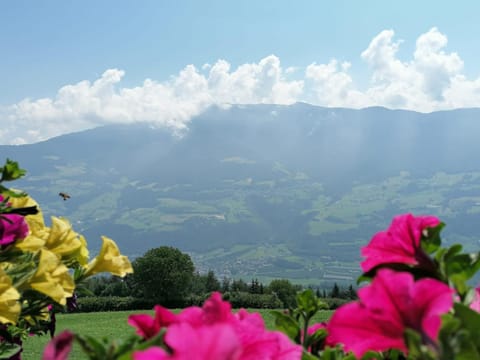 Natural landscape, Mountain view