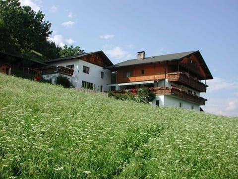 Property building, Day, Garden