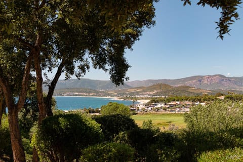 Natural landscape, Sea view