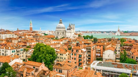 View (from property/room), City view