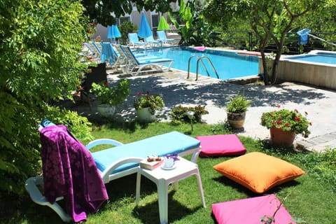 Day, Garden, Swimming pool