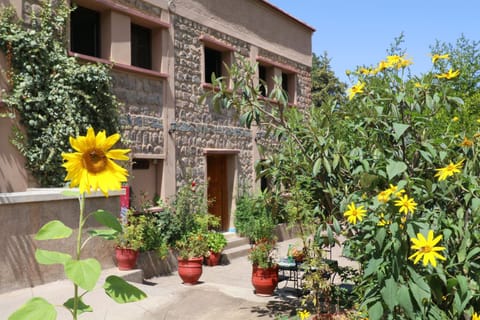 Garden, Garden view