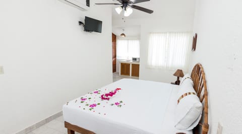 Bed, Kitchen or kitchenette, Other, Photo of the whole room