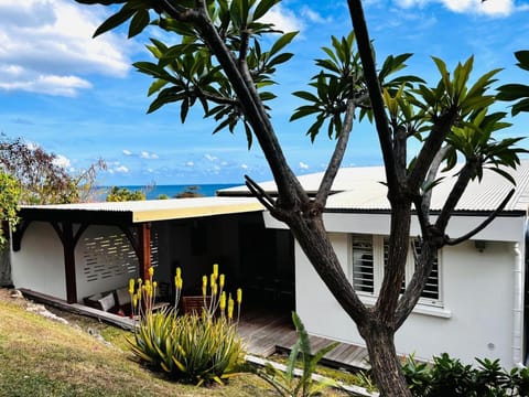 Property building, Garden, Garden view