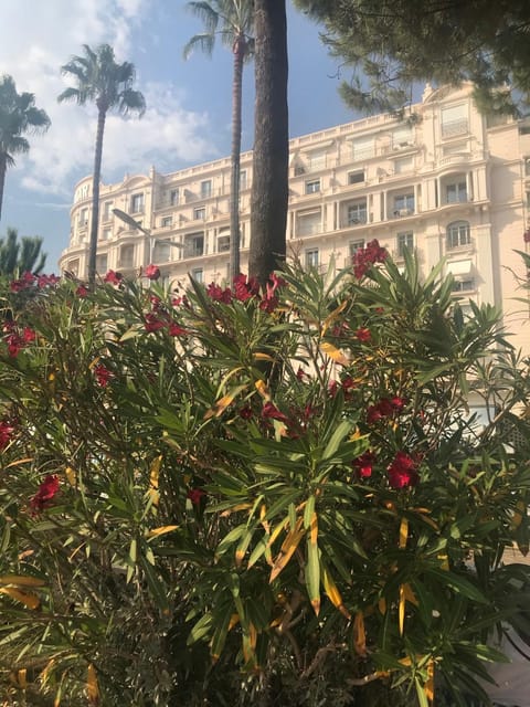 New - cosy & nice Apartment in Palais Miramar Copropriété in Cannes