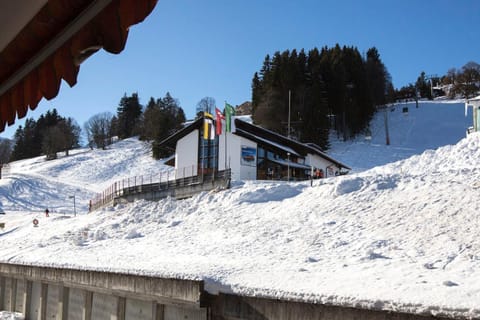 Ski School, Skiing, Area and facilities